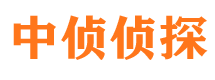 东区市侦探公司